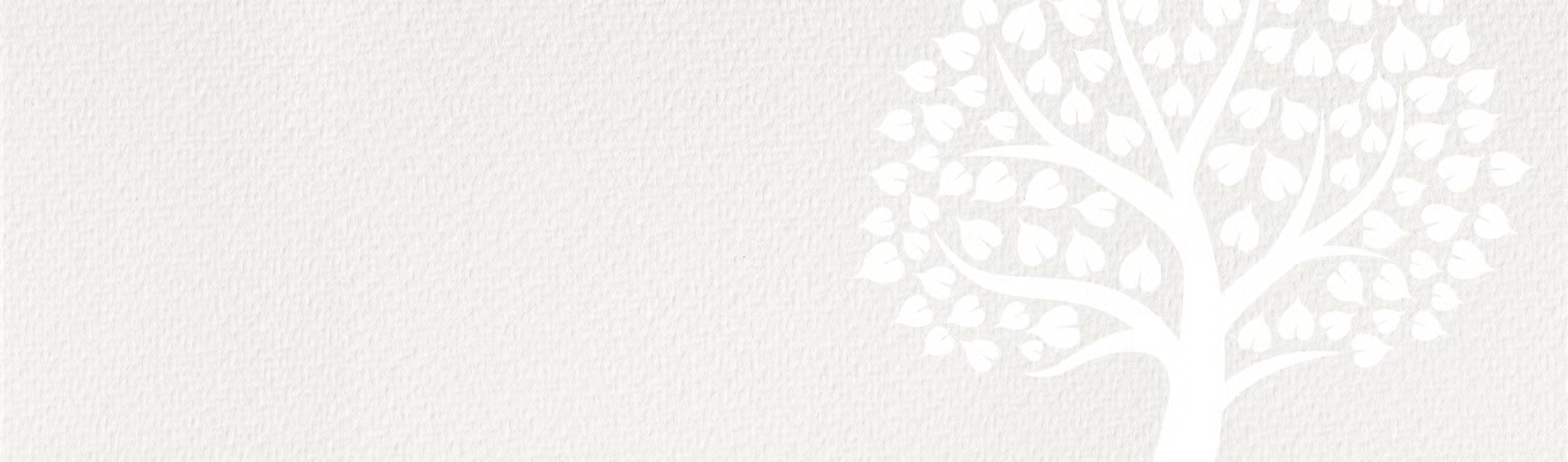 From shutting down to shooting to the top:  The story of a government school